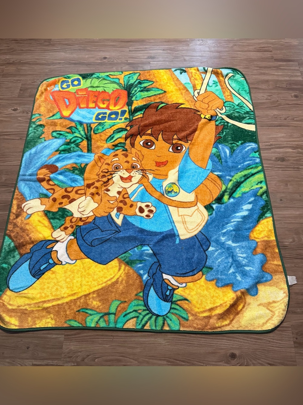 Go, Diego! Go! Kids Blanket